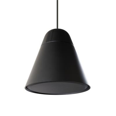 4.5" Two-Way Pendant Loudspeaker Black